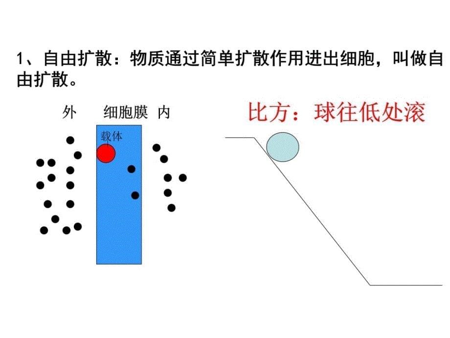 物质跨膜运输的方式知识课件_第5页