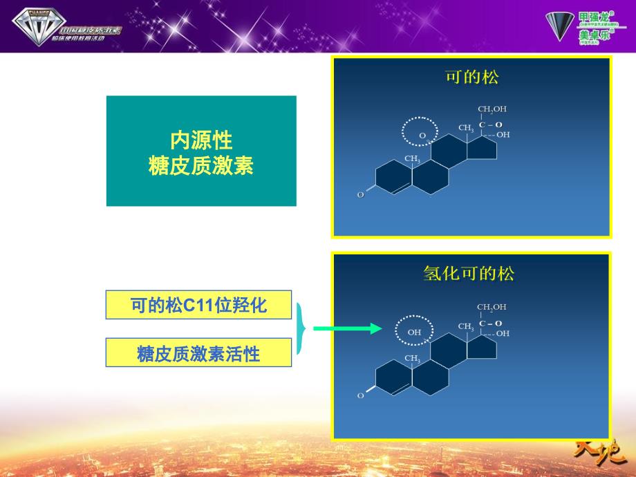 药学分论常用糖皮质激素类药物制剂及特点ppt课件_第4页