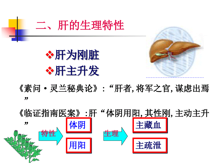 中基课件--藏象-肝教学教材_第4页