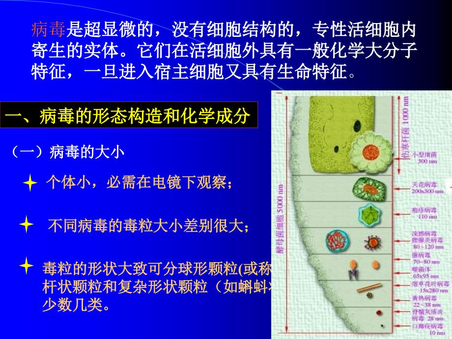 病毒和亚病毒研究报告_第3页