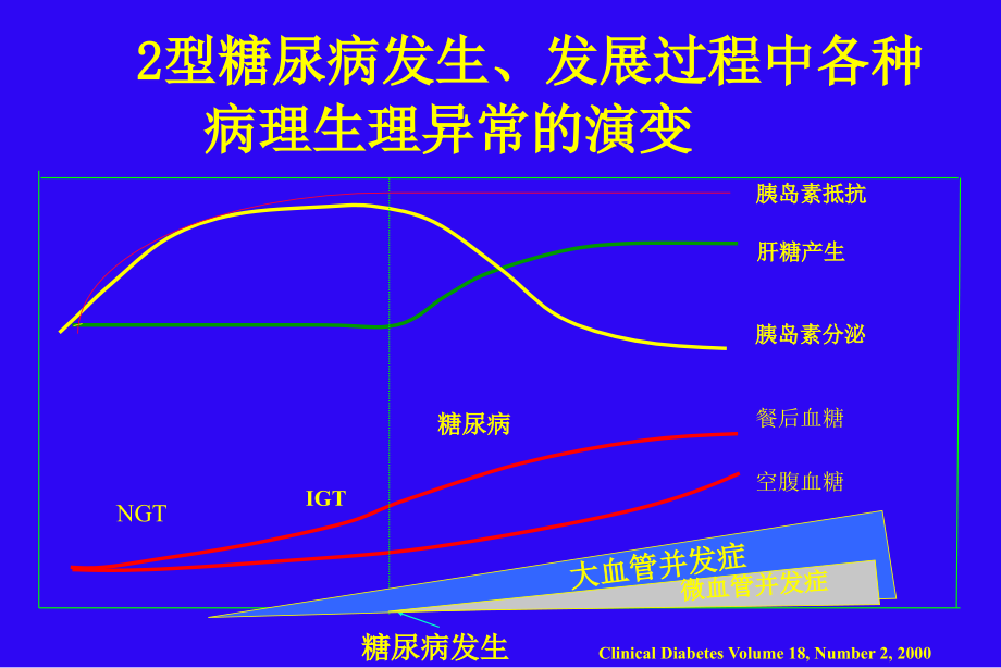 口服降糖药物的应用医大实习教学版ppt课件_第3页