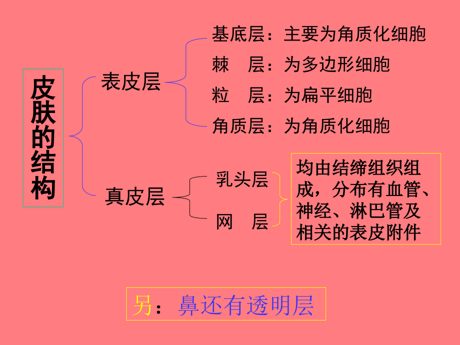 猪皮肤疾病的鉴别诊断教程教案_第3页