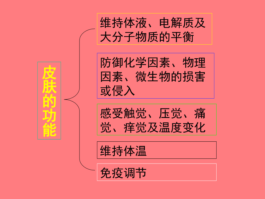 猪皮肤疾病的鉴别诊断教程教案_第4页