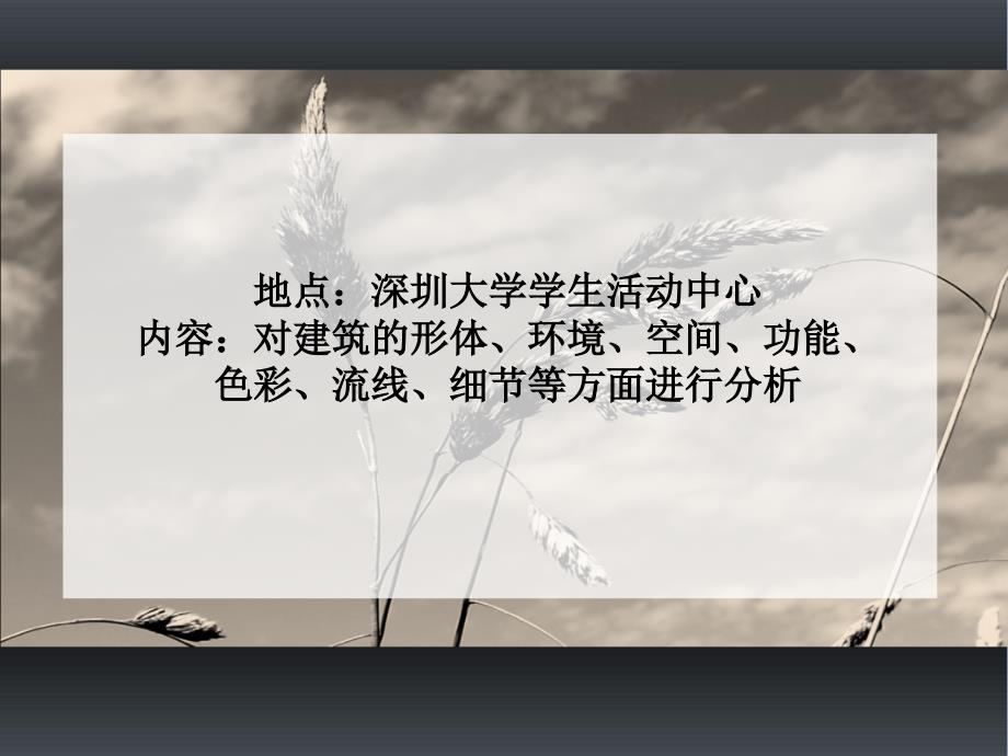 大学生活动中心案例分析报告模板_第2页