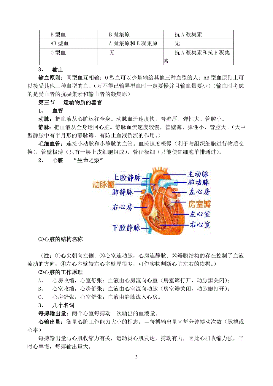 （2020年整理）七年级下册冀教版生物知识点总结(word版).doc_第3页