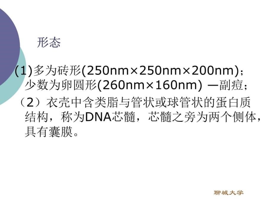 双股DNA病毒教程教案_第5页