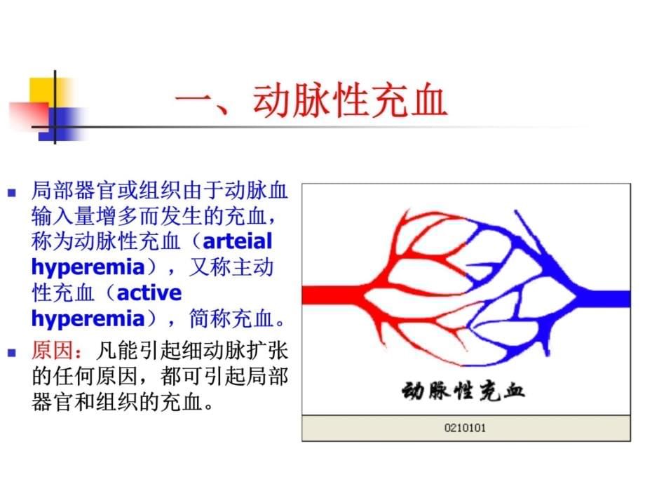 血循障碍课件培训教材_第5页