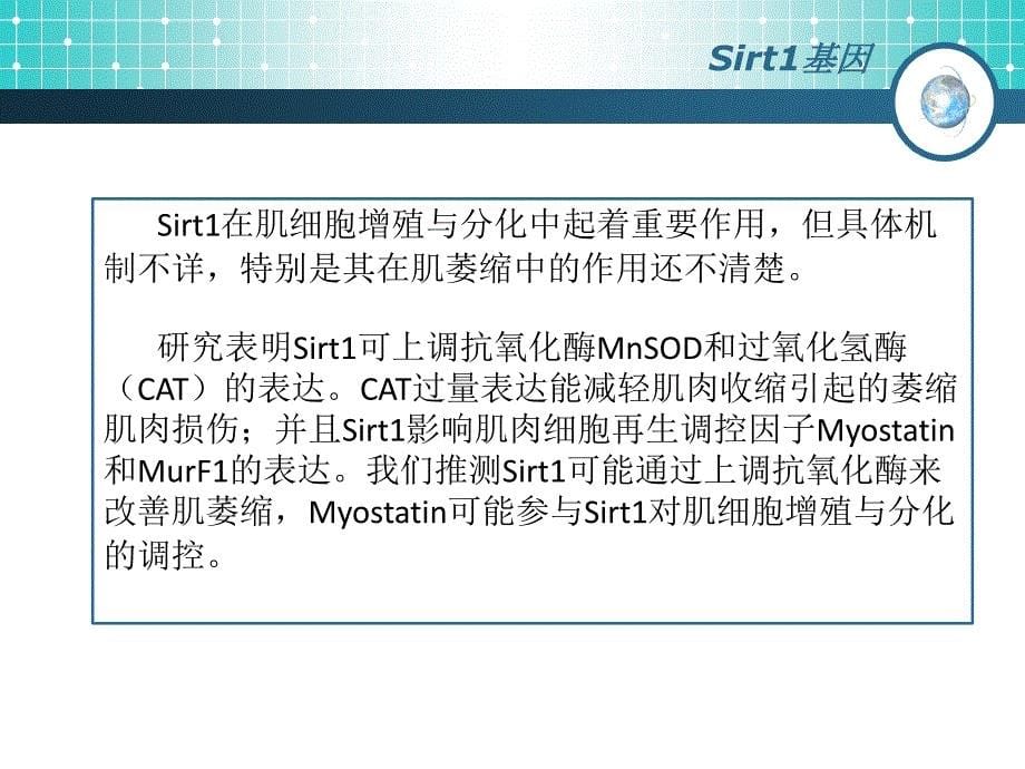 Sirt1基因与m-Tor通路的关系_第5页