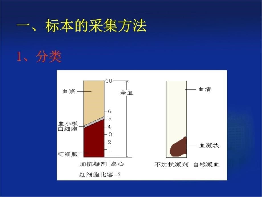 血液标本的采集和处理幻灯片资料_第5页