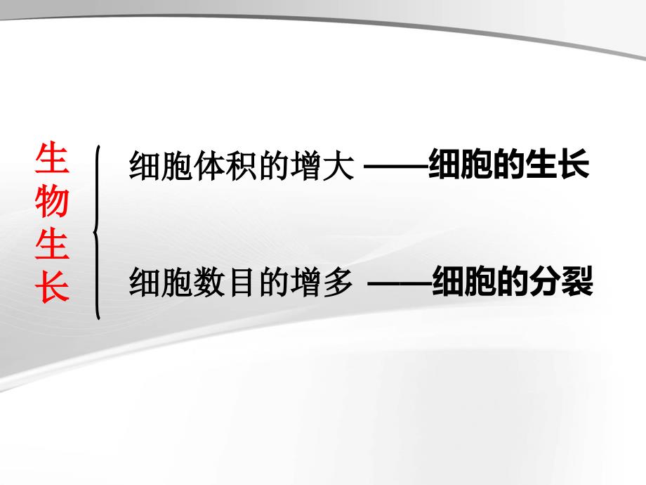 细胞怎样构成生物体复习课课件教学案例_第4页