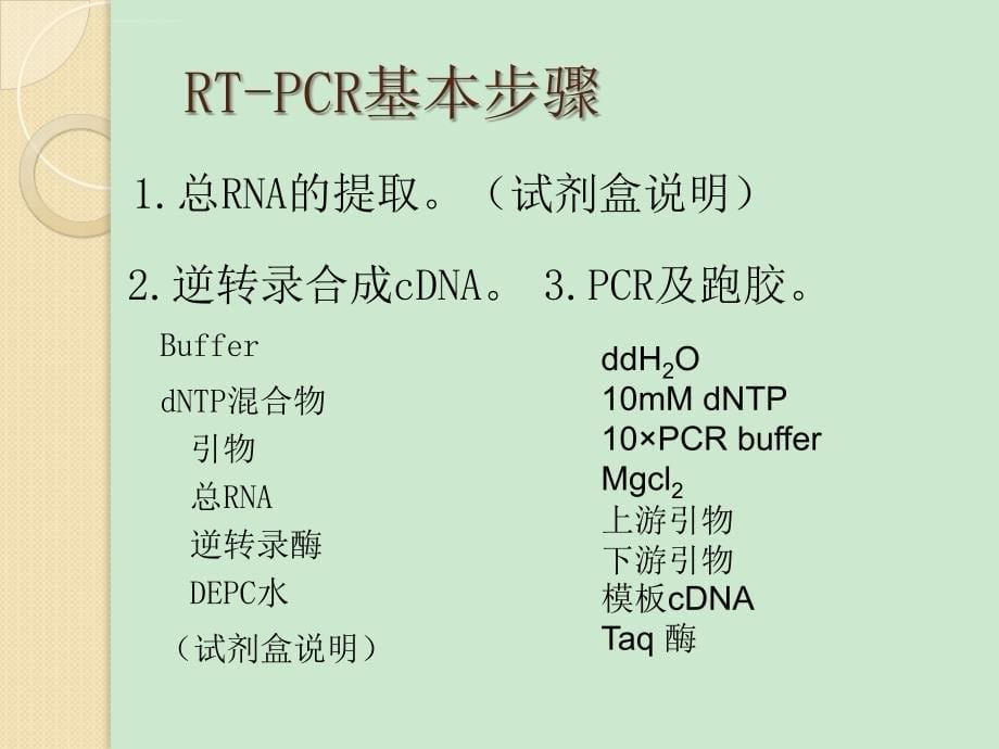 RT-PCR和real time PCR 原理及步骤_第5页