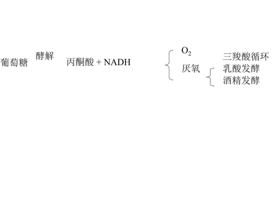 王镜岩生化课件08 糖代谢教材课程_第5页