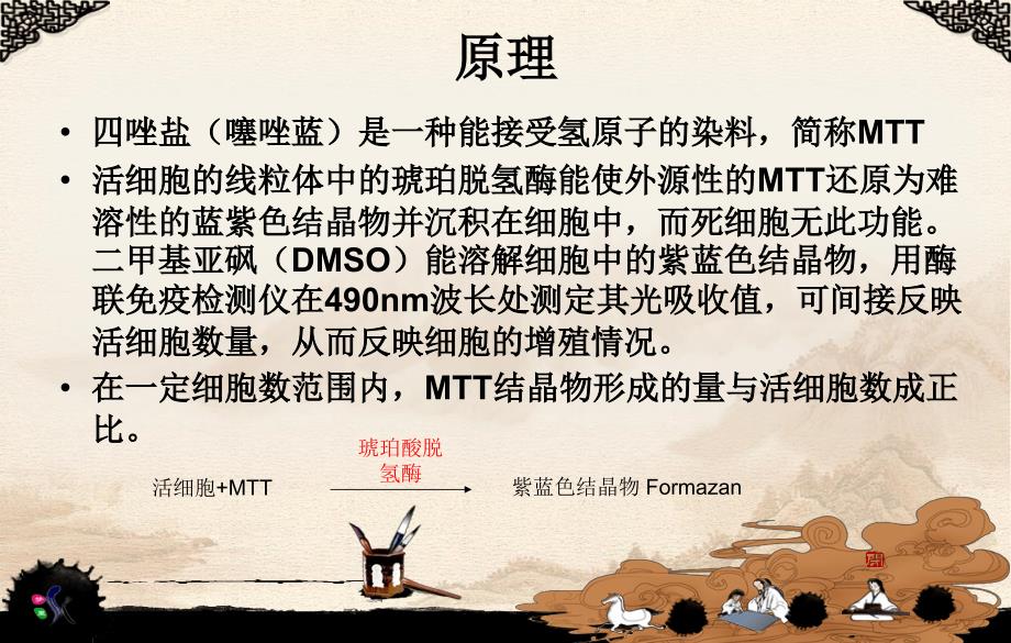 MTT法小结课件_第4页