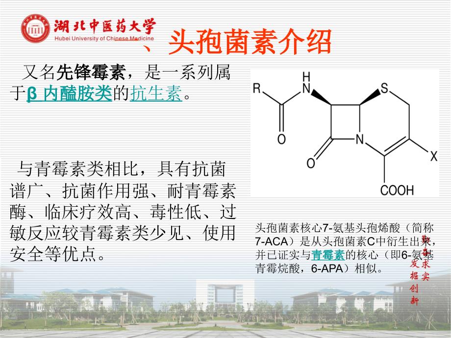 头孢菌素+(1)教材课程_第2页