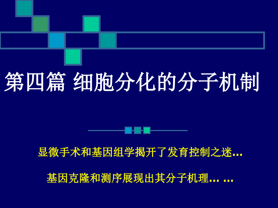 细胞分化分子机制培训资料_第1页