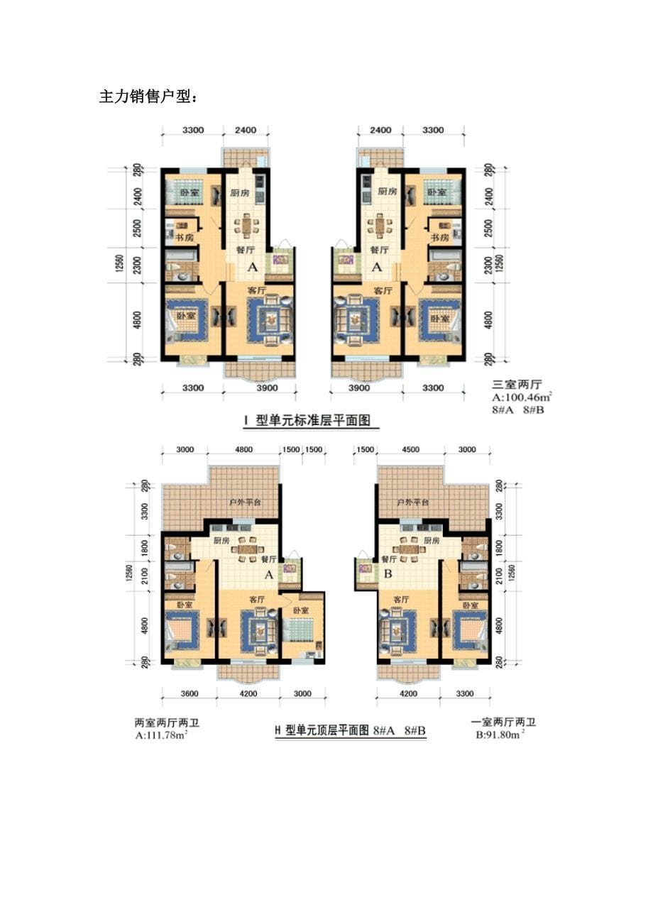 2020年(策划方案）沈阳浑南白塔项目前期策划方案__第5页