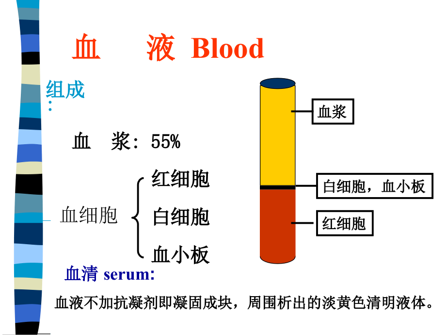 血液与肌组织xing讲义教材_第2页