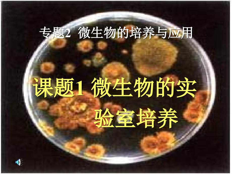 苏教版教学课件09年江苏地区生物学科选修微生物的实验室培养(苏教版)教材课程_第1页