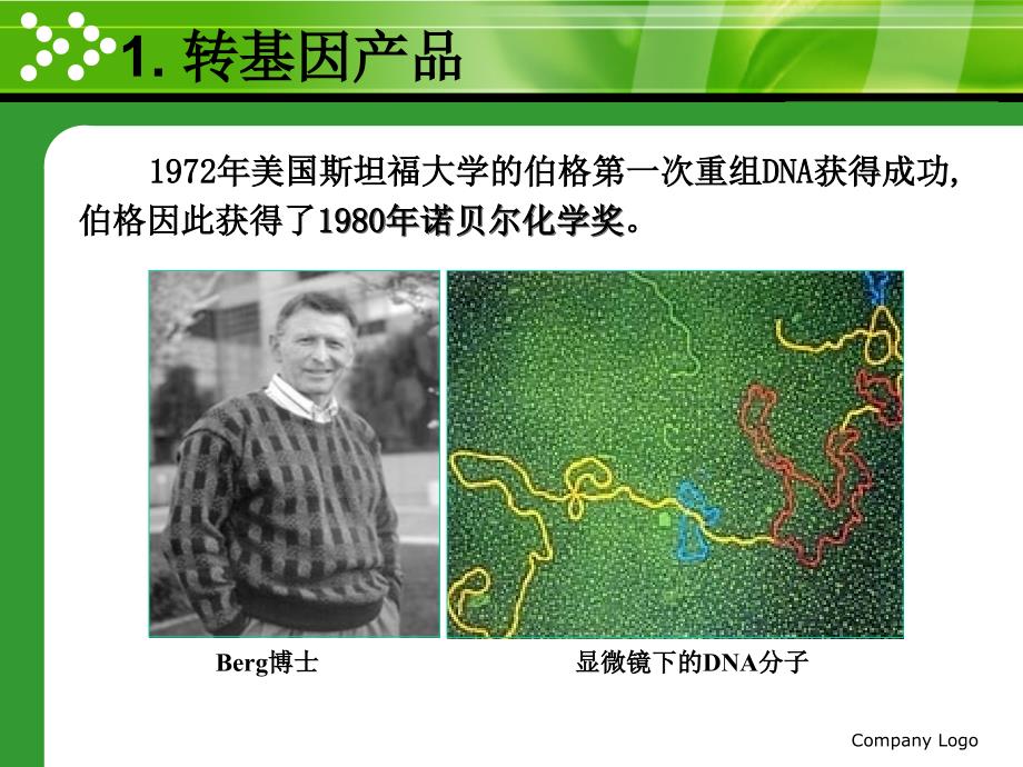 苏旭东生物工程系河北农业大学食品科技学院幻灯片资料_第3页