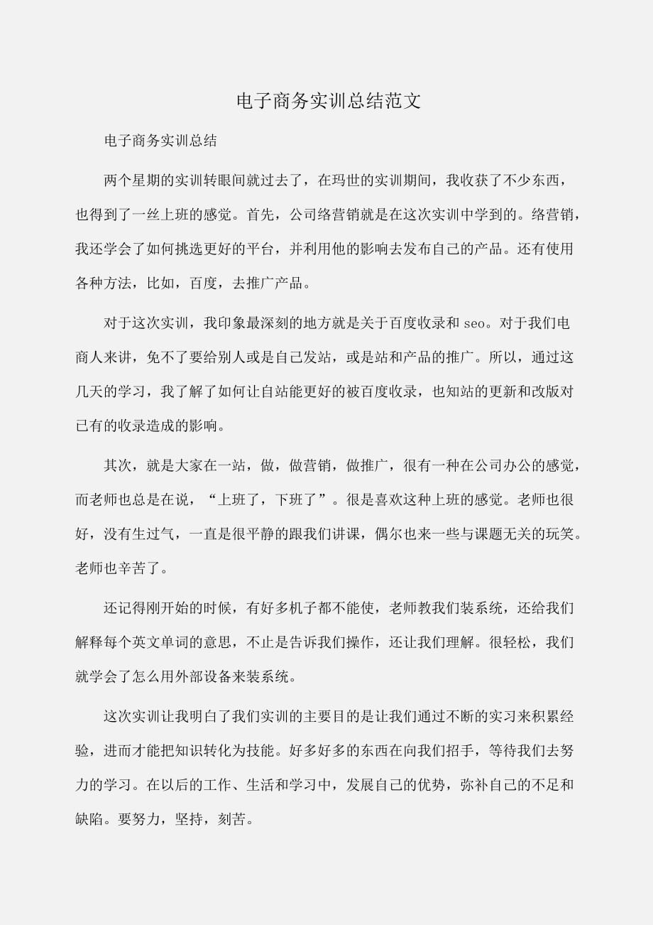 实习报告：电子商务实训总结范文_第1页