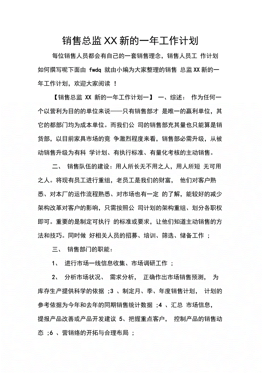 销售总监XX新的一年工作计划_第1页