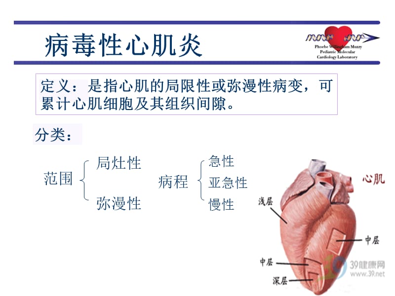 病毒性心肌炎新[1]._第3页