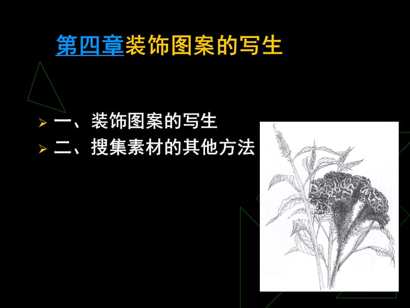 一、装饰图案的写生二、搜集素材的其他方法_第1页