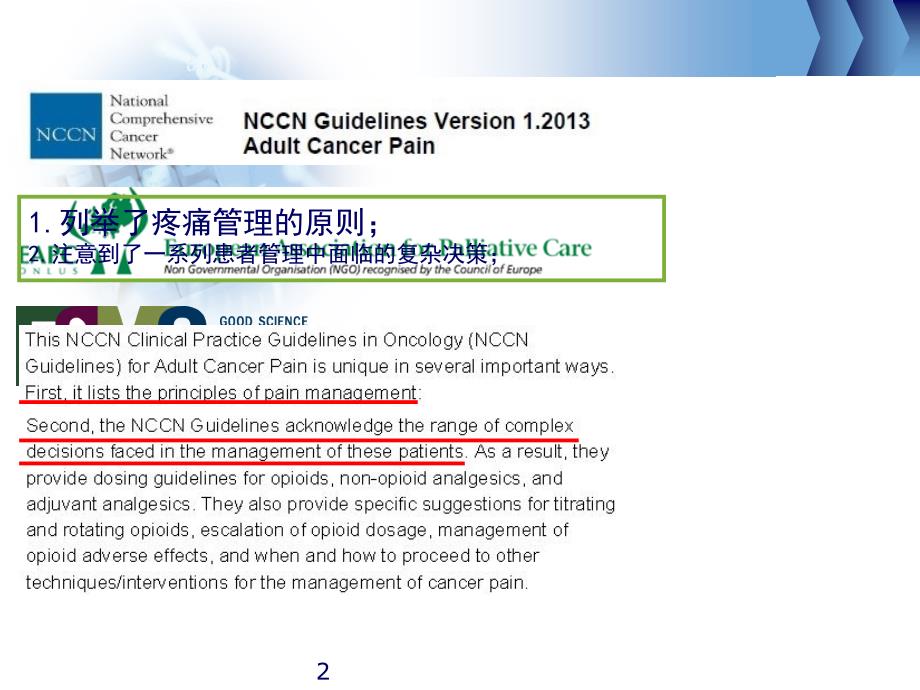 NCCN成人癌痛指南更新培训资料_第2页