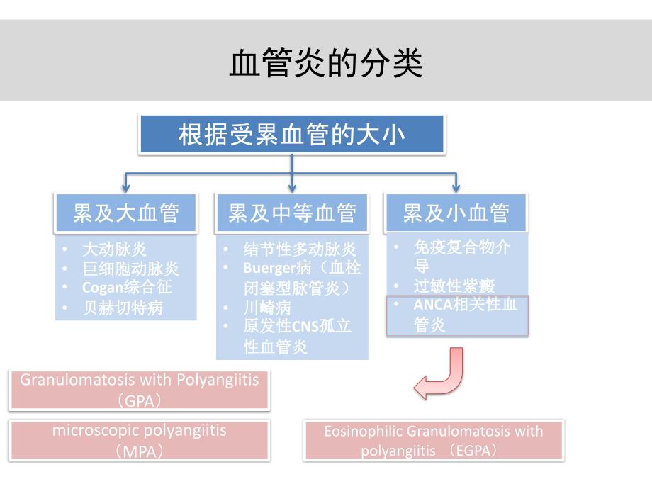 anca相关血管炎诊治进展教材课程_第3页