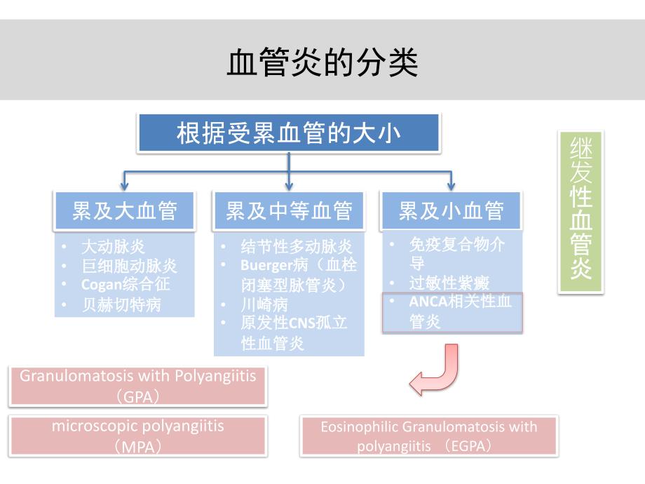 anca相关血管炎诊治进展教材课程_第4页