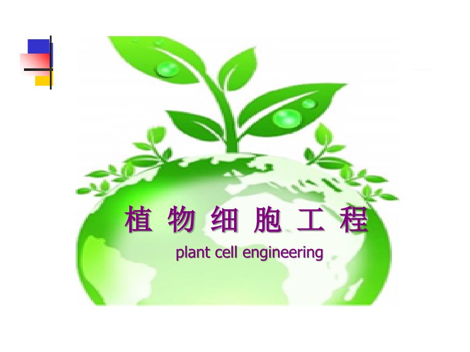 植物细胞工程课程教学案例_第1页