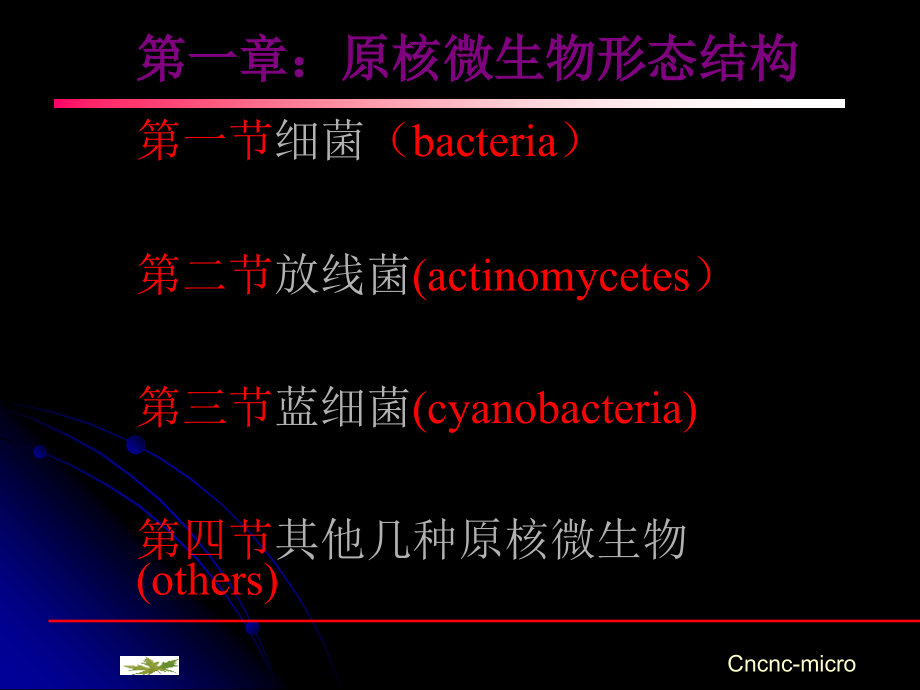 原核微生物的形态结构幻灯片资料_第1页