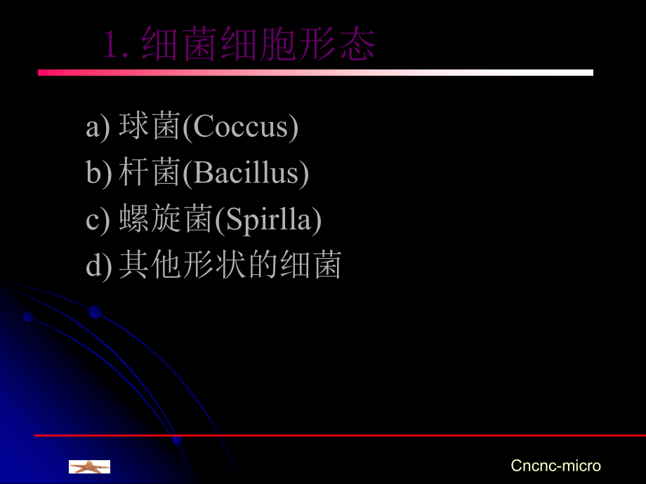 原核微生物的形态结构幻灯片资料_第3页