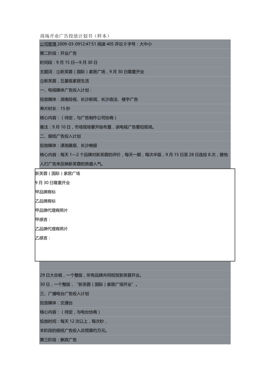 2020年（广告传媒）商场开业广告投放计划书_第2页