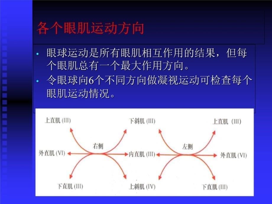 眼球运动受损知识分享_第5页