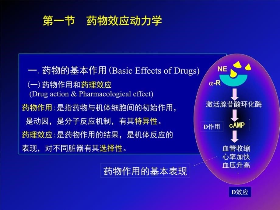 总论兽药08教学材料_第5页