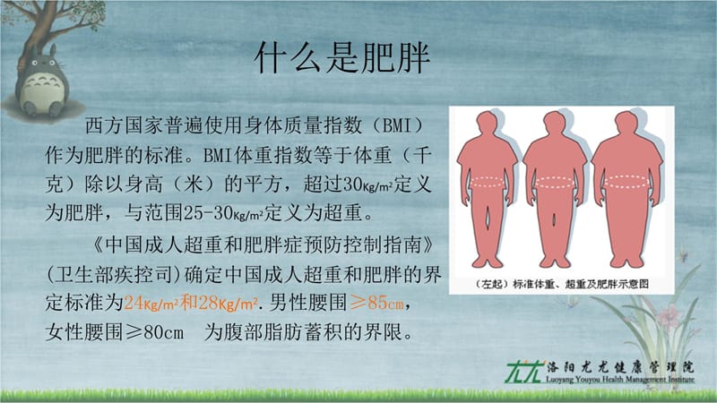 KJ13肥胖对健康的危害教学材料_第5页