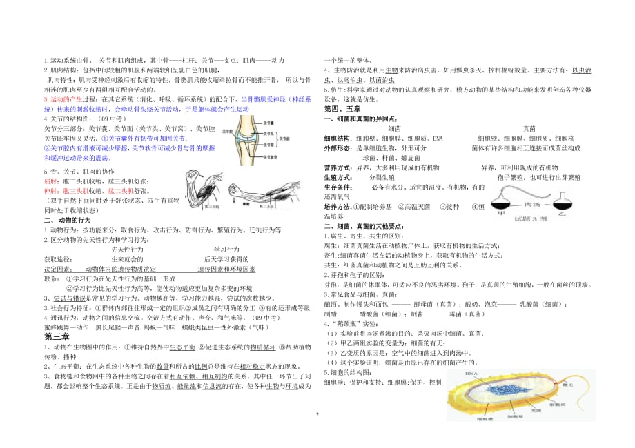 人教版八年级生物上册知识点总结（6.29）.pdf_第2页