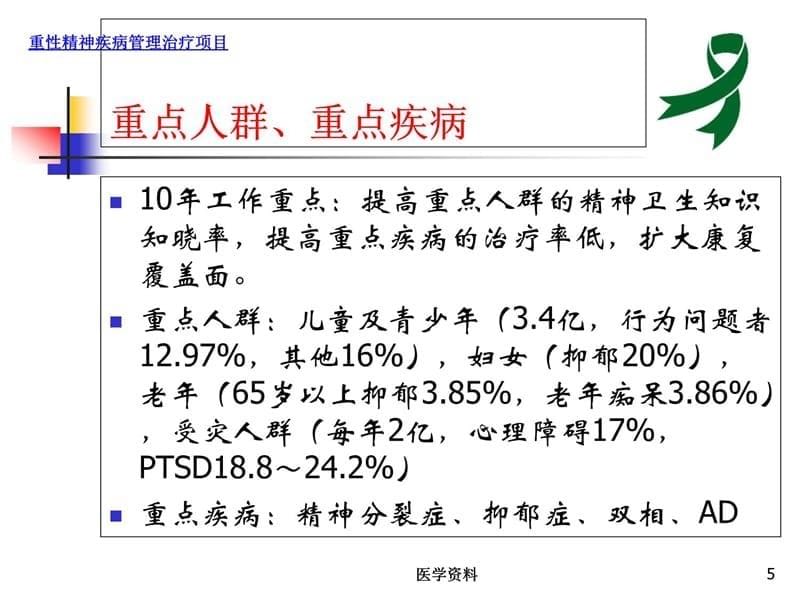 重性精神疾病管理治疗项目管理与评估研究报告_第5页