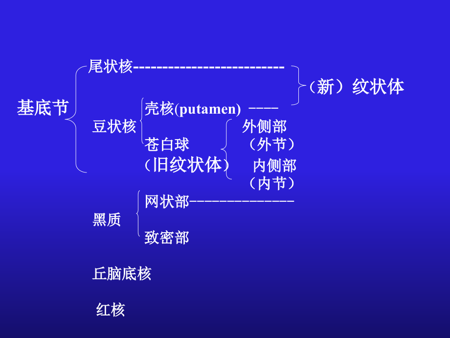 锥体外系临床表现1教学教案_第4页