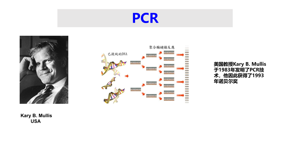 病毒感染的分子诊断201804_第4页