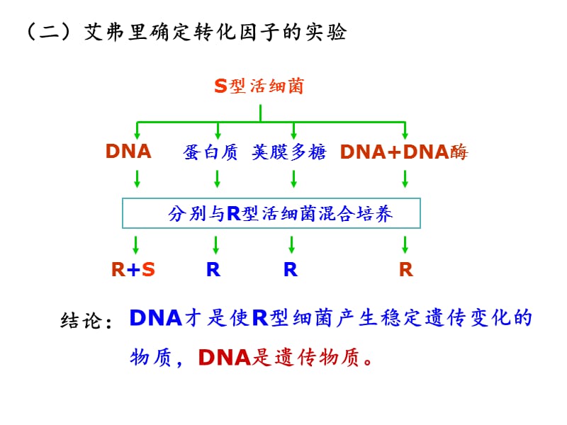 第三章基因的本质教学案例_第4页