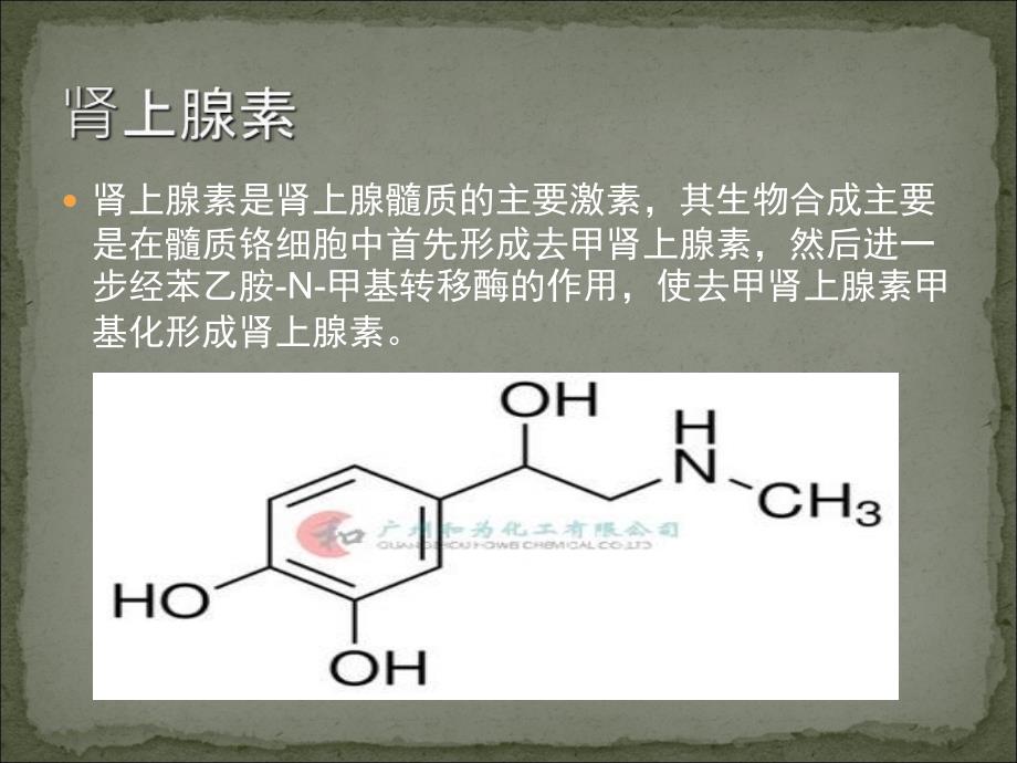 胰岛素和甲状腺素对血糖的影响培训讲学_第4页