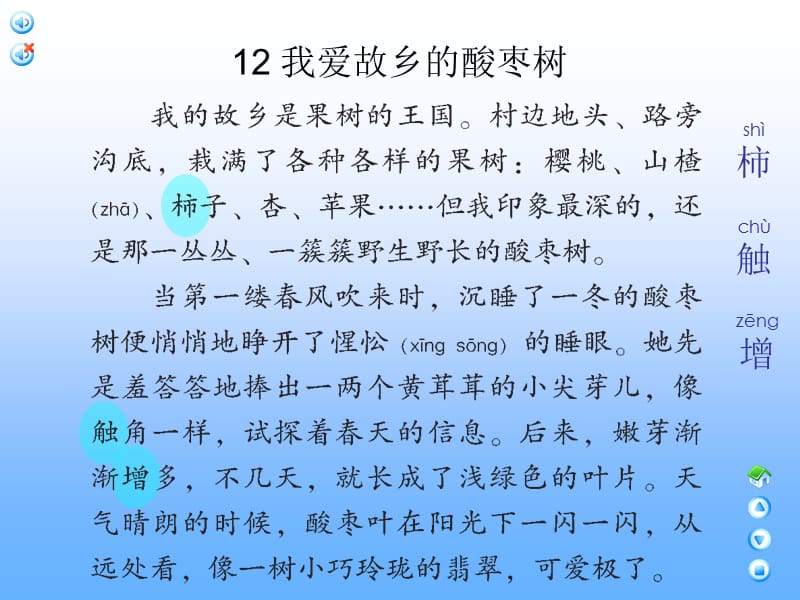 最新课件12 我爱故乡的酸枣树_第2页