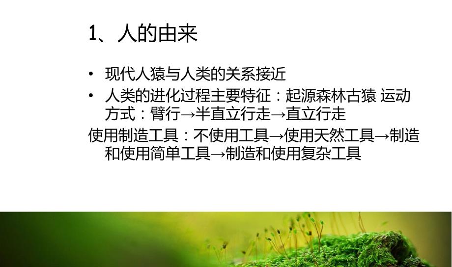 《七下生物复习》课件_第2页