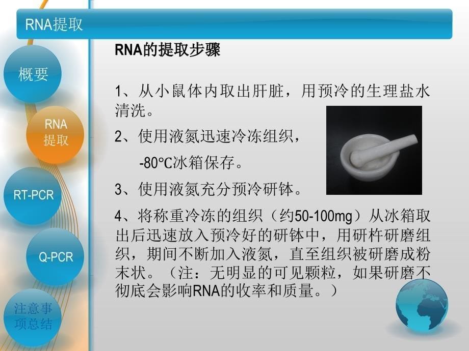 动物组织RNA提取及荧光定量PCR 精讲_第5页