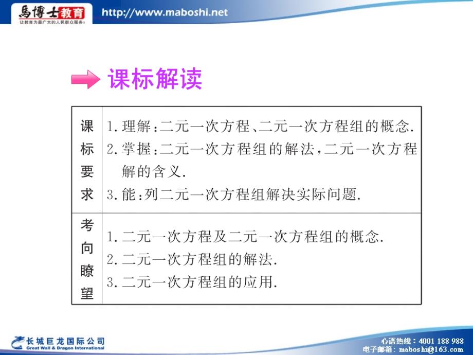 2011九年级中考数学复习精品课件07 二元一次方程组_第3页