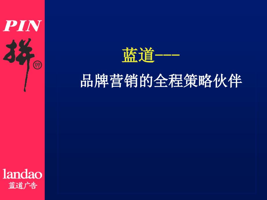 《精编》PIN拼牌品牌规划建议_第3页