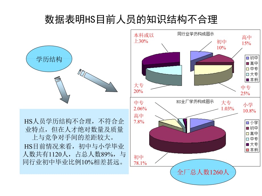 《精编》HS公司人力资源诊断报告_第5页