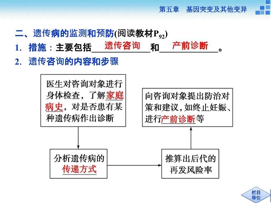 2016版优化方案高中生物人教版必修二配套课件第五章第3节_第5页